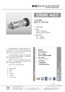 BDSensors DMK 457 壓力變送器與雷達傳感器產(chǎn)品說明書